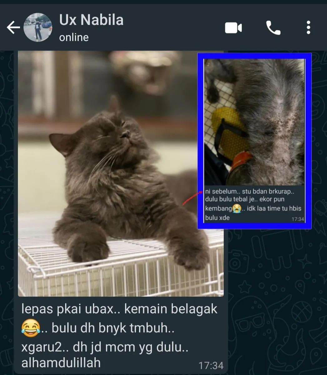 Testimoni Ubax 2