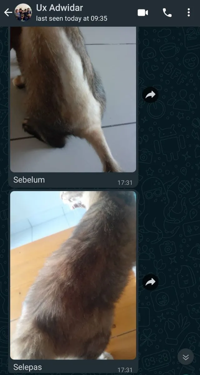 Testimoni Ubax 4